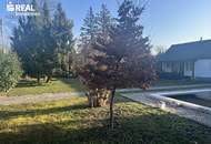 s REAL - Open House am 28.03.26 - Zwei nebeneinanderliegende Grundstücke – ideal für Bauträger, auch einzeln zu erwerben