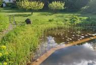 "Exklusives Refugium mit Biotop & 3.000 qm Gartenparadies!"