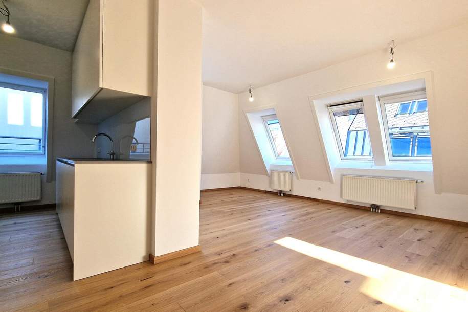 ERSTBEZUG nach Sanierung: 4-Zimmer DG-Terrassenwohnung - Grenze 9.Bezirk - U6 Nähe!!, Wohnung-miete, 2.565,00,€, 1080 Wien 8., Josefstadt