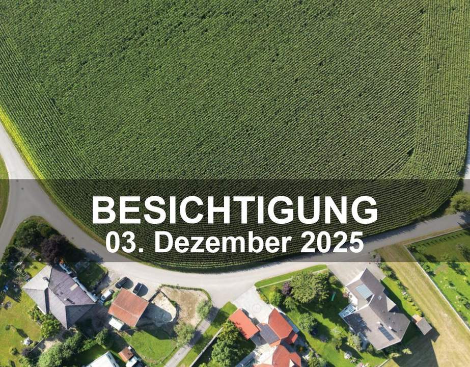Neu vermessene Grundstücke in Breitenried