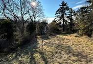 Bauernhaus mit XXL Grundstück