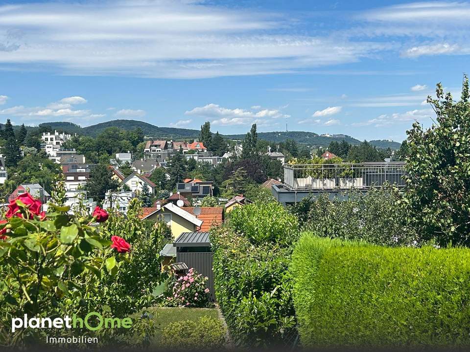 Rarität – Baugrundstück am Schafberg: Panoramablick vom Kahlenberg bis zur City