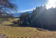 Großes Bauland in Fresach mit Potenzial