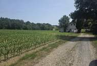 Bauernhaus (stark sanierungsbedürftig) mit viel Grund und kleinem Teich