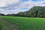 Grundstück für Bauträger, Thermenprojekt oder Sport- und . Raum für Ihre Vision