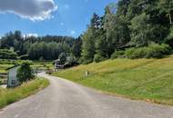 Ruhiges Baugrundstück mitten in der Natur mit eigenem Wald