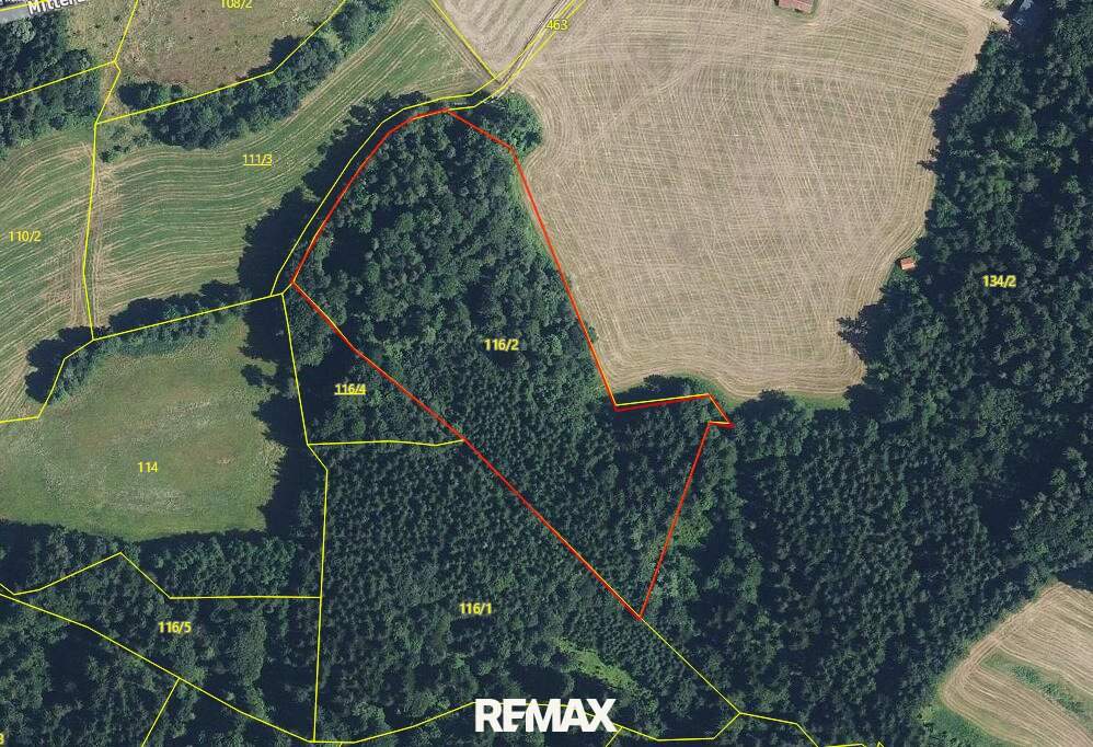 Mischwaldfläche in St. Ruprecht an der Raab