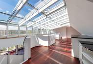 SCHAFBERG | PENTHOUSE | DACHGARTEN | POOL | FERNBLICK