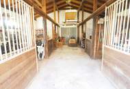 SONNIG &amp; GROSSZÜGIG &amp; SCHÖNER AUSBLICK