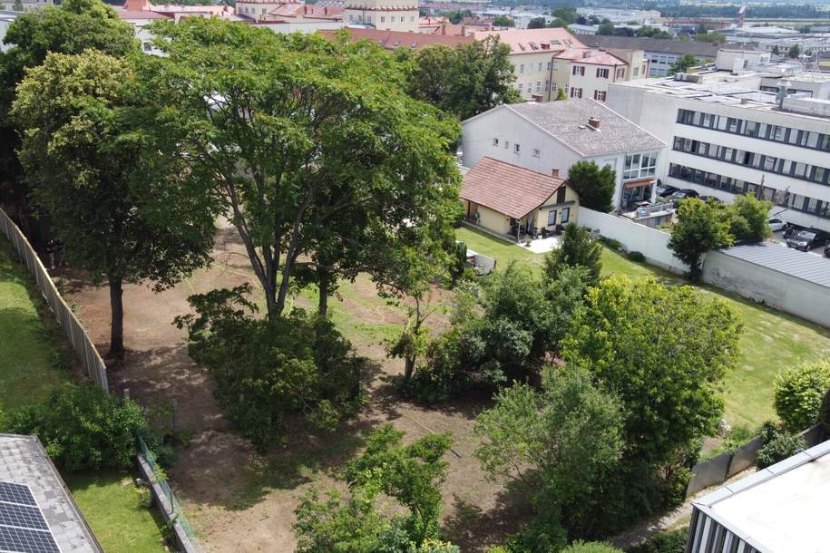 attraktives Grundstück mit Altbaumbestand in Bestlage von Eisenstadt, Grund und Boden-kauf, 299.000,€, 7000 Eisenstadt(Stadt)