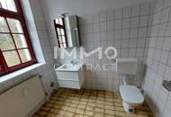 Große ca. 89m² 3 Raum - Wohnung mit Gallerie im Wehrgraben / Steyr