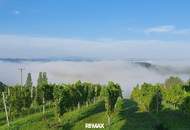 IN SLOWENIEN! Winzerhaus mit Weingarten und Blick bis zum Horizont!