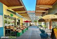 Dachgeschoss mit Loftcharakter Im Trendviertel Nähe WU und Prater. Günstige Betriebskosten