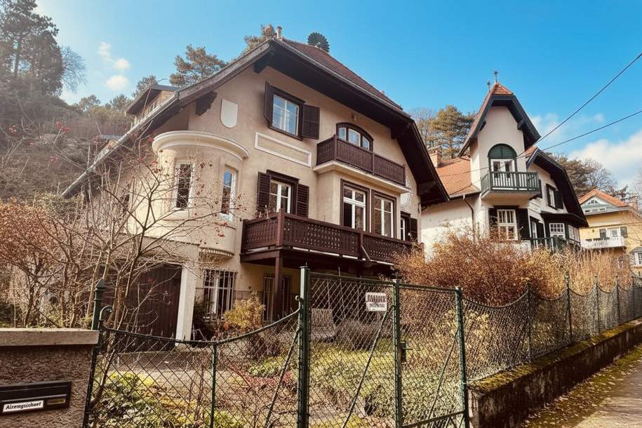 Jagdvilla aus 1910 - vollrenoviert - Top Ruhelage -10 Minuten zu Fuß in die Innenstadt von Baden, Haus-kauf, 1.290.000,€, 2500 Baden