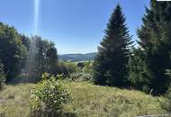 Ruhig gelegenes Einfamilienhaus in Mönichkirchen mit großem Grundstück