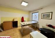 Haus - 4 Zimmer, 2 Badezimmer und 100m² Garten in 1230 Wien zu mieten