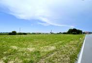 IHRE CHANCE: Betriebsgrundstück I TOP-Lage I Ideal geschnitten I Ortseinfahrt Mitterndorf/Fischa