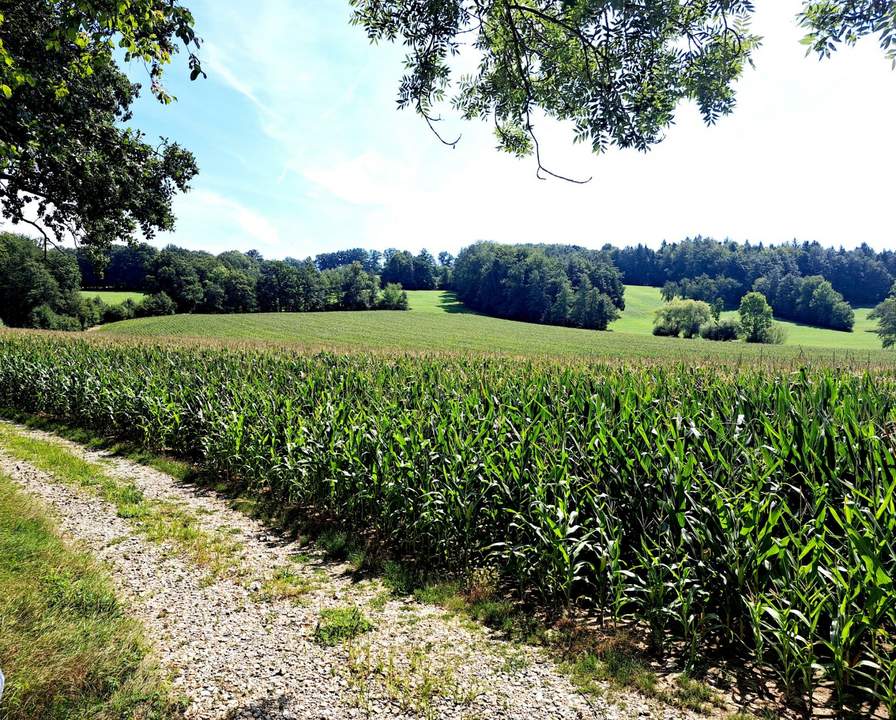 ACKER FAHRAFELD - ZUM VERKAUF