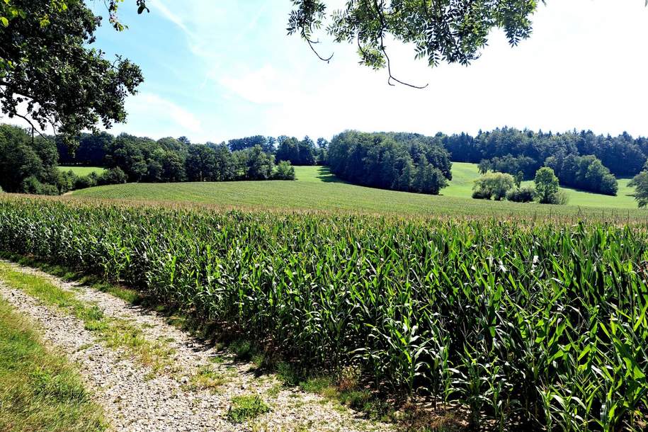 ACKER FAHRAFELD - ZUM VERKAUF, Grund und Boden-kauf, 450.000,€, 3072 Sankt Pölten(Land)