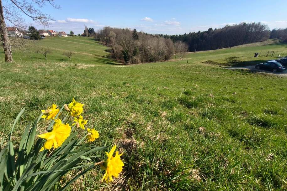 Eine Gelegenheit für Naturverbundene: Baugrundstück am Rande von Kumberg bei Graz, Grund und Boden-kauf, 150.000,€, 8062 Graz-Umgebung