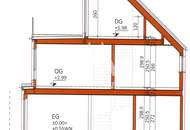 Prachtexemplar an der unteren alten Donau !