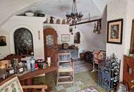 Exklusives Weingartendomizil - geschützte Alleinlage mit unverbauter Fernsicht - viel Platz auf mehreren Ebenen! Großer Wohnraum + ebenerdiger Wohnkeller (Provisionsfrei)