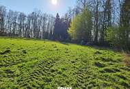 Baugrund in Ruhiger Waldrandlage