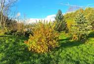 Baugrundstück mit Blick ins Grüne in ländlicher Ruhelage