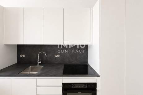 NEU! Direkt am Wasser und U1 Donauinsel: 33. Etage: DC2 Tower: SKY RESIDENCES, Wohnung-miete, 1.100,00,€, 1220 Wien 22., Donaustadt