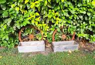 Winterblues günstiges Kleingarten Haus + Pool + Grillplatz + Garten