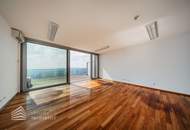 Traumhafter Blick über Wien! Garconniere mit Terrasse am Kahlenberg