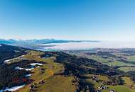 Goldene Felder für Ihre Ernte – Ihre Chance, den Boden zum Leben zu erwecken!