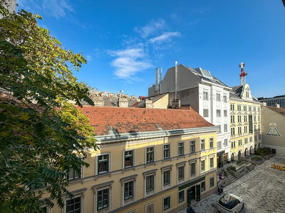 Zentrale Altbauwohnung in Biedermeierhaus nahe Rathaus und Parlament