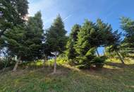 Baugrundstück mit genehmigtem Hausprojekt in Marz zu verkaufen