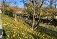 TOWNHOUSE - 4 Zimmer Wohnung mit Terrasse und Garten U3 Erstbezug