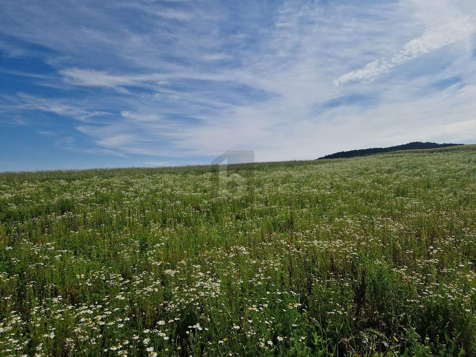 FANTASTISCHES RANDGRUNDSTÜCK IN RUHELAGE!