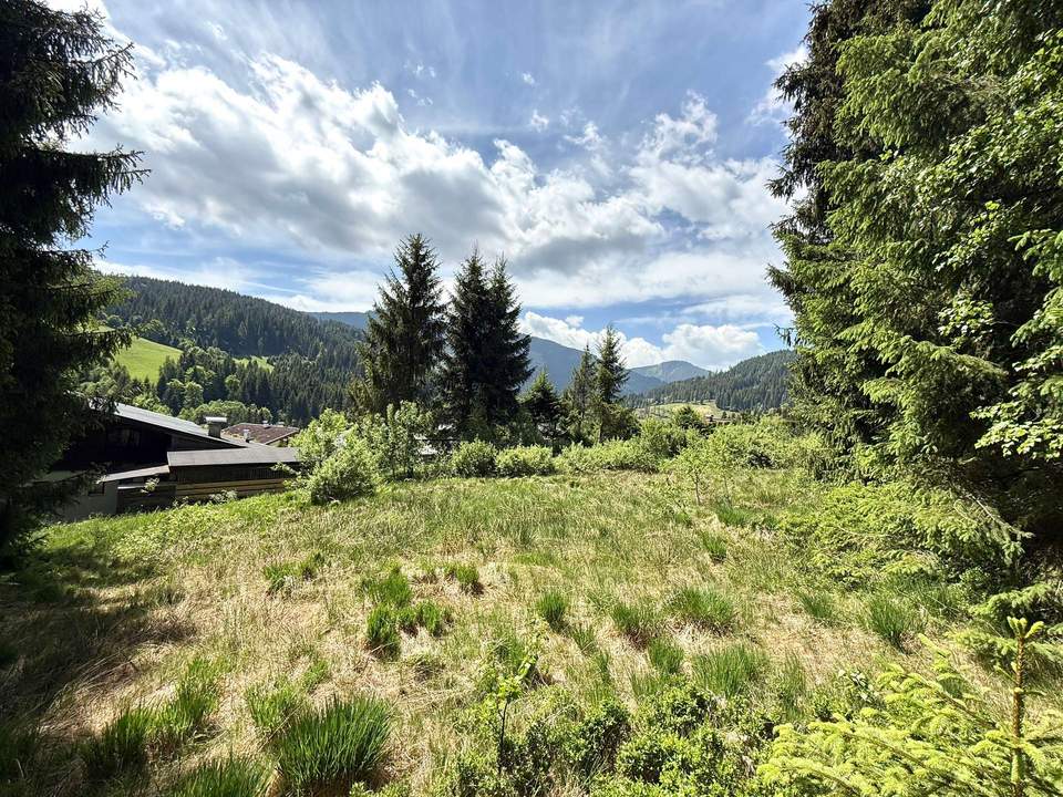 Sonniges Baugrundstück mit eigenem Waldbestand – seltene Kombination in bester Lage von Neuberg!