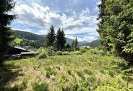 Sonniges Baugrundstück mit eigenem Waldbestand – seltene Kombination in bester Lage von Neuberg!