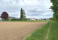 Gewerbegrundstück für Betriebsansiedelung