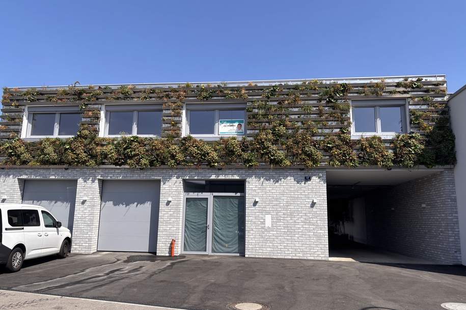 Erstbezug nach Sanierung, Gewerbeobjekt-miete, 3.000,00,€, 2345 Mödling