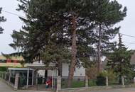 Grundstück mit Bastlerhaus