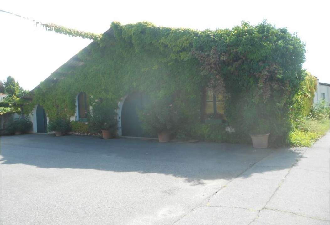 Versteigerung: großzügiger Weinguts-Betriebsstandort mit Hallen und Lagerflächen