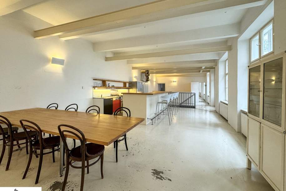LOFT MIT GRÜNEM HOF IN BESTER LAGE - 212 m² Nutzfläche, Wohnung-kauf, 940.000,€, 1150 Wien 15., Rudolfsheim-Fünfhaus