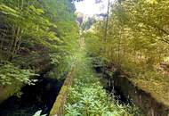 Natur, Wasser & Potenzial – Ehemalige FISCHZUCHT in ruhiger Alleinlage