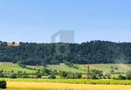 MIT BLICK ZUM LEITHAGEBIRGE UND NEUSIEDLERSEE