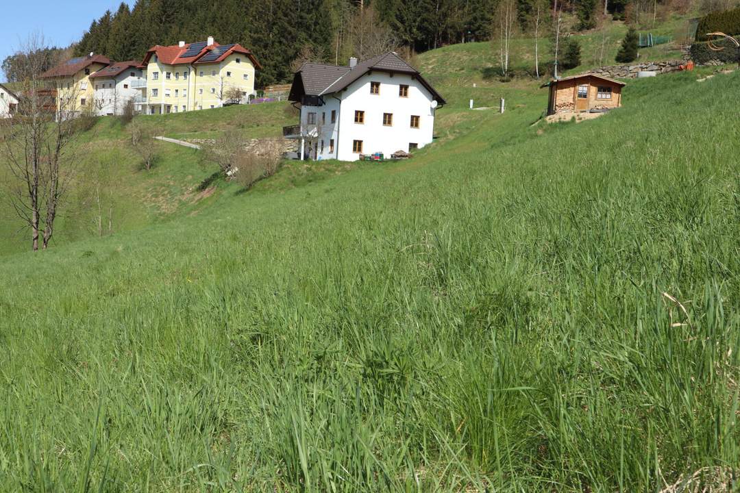 Baugrund in sonniger Süd-West-Hanglage