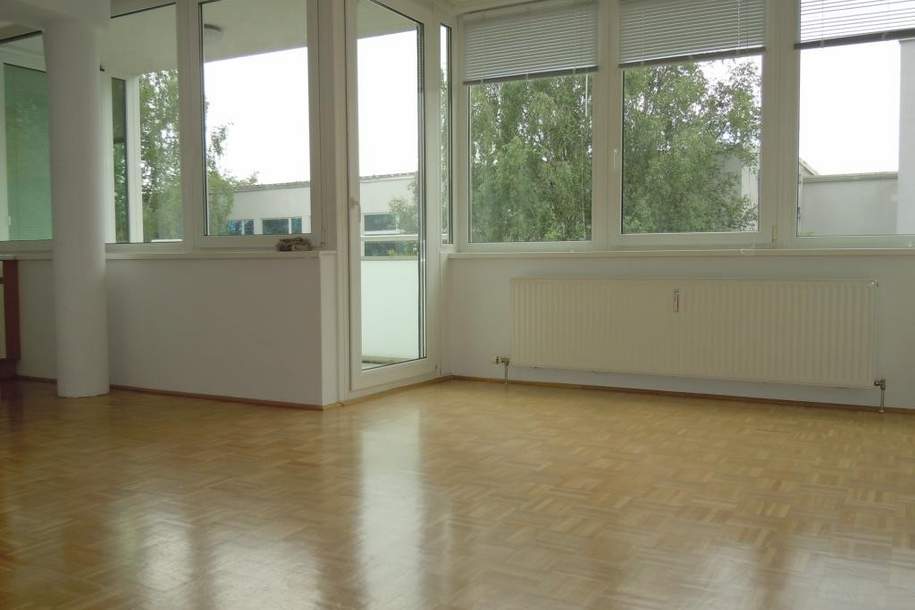 Tolle 2-Zimmer-Wohnung mit Loggia &amp; TG-Platz - verfügbar ab Juni 2026, Wohnung-miete, 749,00,€, 4020 Linz(Stadt)