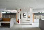 Großzügiges Open-Space-Büro mit Besprechungsräumen im 22. Bezirk | Lift, Tiefgarage, flexibel nutzbar