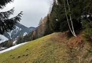 Grundstück in Hüttau im Fritztal auf ca 1400 Meter inkl. genehmigten Plan für ein Landhaus (Chalet)