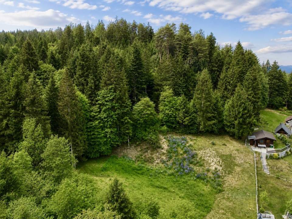 TRAUMHAFTES BAUGRUNDSTÜCK IN RUHELAGE & SEENÄHE – 2.069 M² FÜR IHR EIGENHEIM!